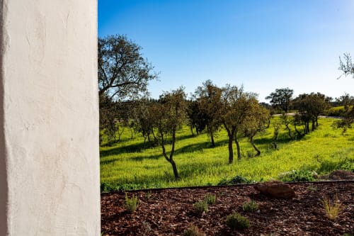 Parede branca de edifício com vista para o olival em Cerro da Campaniça, Santiago do Cacém, Portugal