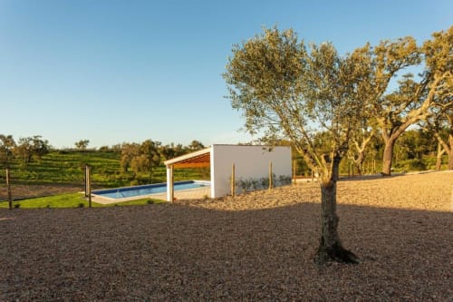 Zona de piscina da Cerro da Campaniça com pavilhão moderno, pátio de seixo e oliveiras em Santiago do Cacém