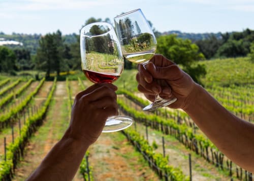 Dois copos de vinho em brinde com vista para as fileiras de vinhas em Albufeira, Portugal no Luso Soul Stays hotel