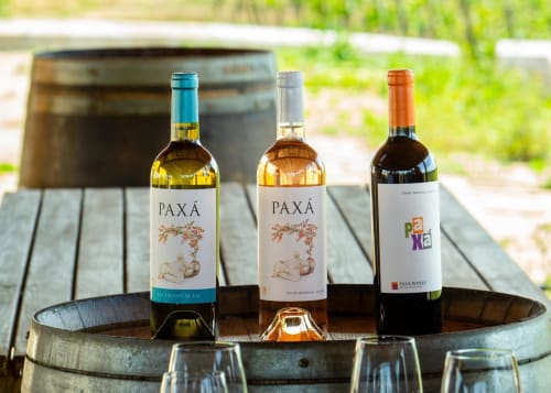 Três garrafas de vinho Paxá expostas em barril de madeira na Luso Soul Stays, Albufeira, Portugal