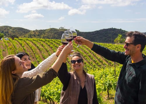 Quatro amigos brindando com taças de vinho no vinhedo de Albufeira, com colinas verdes ondulantes na Luso Soul Stays