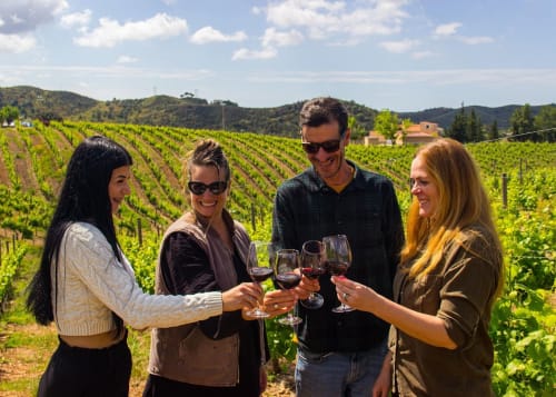 Quatro hóspedes brindando com taças de vinho em um vinhedo do Luso Soul Stays, Albufeira Portugal