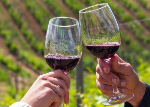 Dois copos de vinho tinto sendo brindes com vista para vinhedo em Luso Soul Stays, Albufeira
