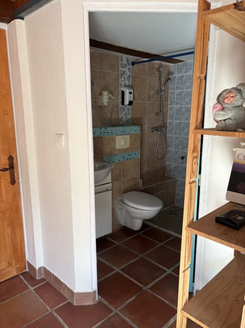 Modern bathroom in Casa Di Floumy cottage, Calvi, featuring walk-in shower with glass enclosure, toilet, and brown tile
