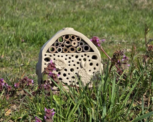 Hôtel à abeilles parmi des fleurs violettes au jardin Bois De Luna à Cunlhat