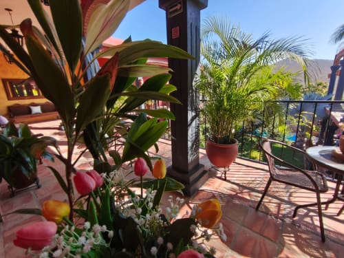 Terraza tropical en Casa Punta Perula con flores vibrantes, palmeras en macetas y vistas al océano sobre la piscina