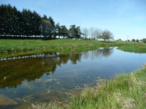 Étang paisible aux rives verdoyantes avec reflets d'arbres à LA CONCIERGERIE DES LACS, gîte à Gérardmer, France