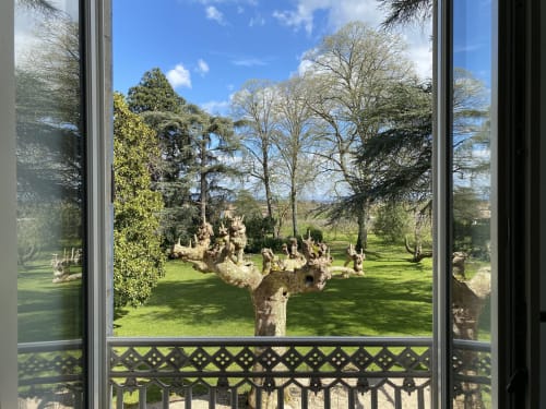 Vue depuis la Chambre Chapotin au Clos Cérès : jardin soigné avec vieux noisetier noueux et parc verdoyant à Viré