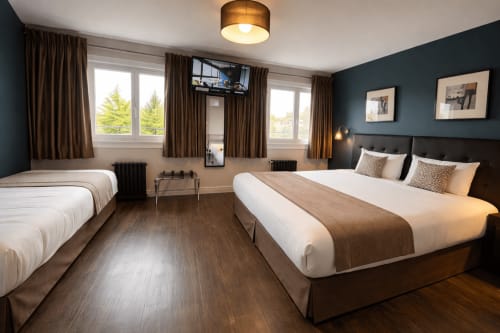 Chambre familiale de l'Hôtel Des Cèdres à Orléans avec lit queen, lit simple, murs bleu foncé, parquet et vue sur la ville