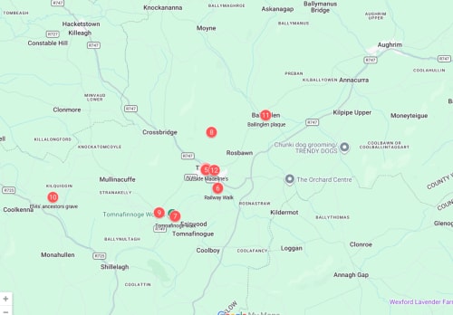 Map showing Madelines Accommodation location in Tomnafinoge, Wicklow, Ireland with nearby towns and roads marked.