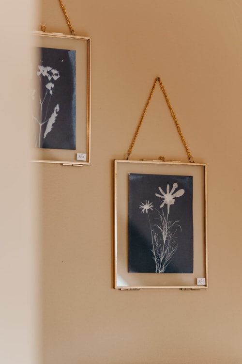 Deux gravures botaniques encadrées avec des fleurs blanches sur fond sombre, suspendues au mur beige du gîte La Grange Romarin