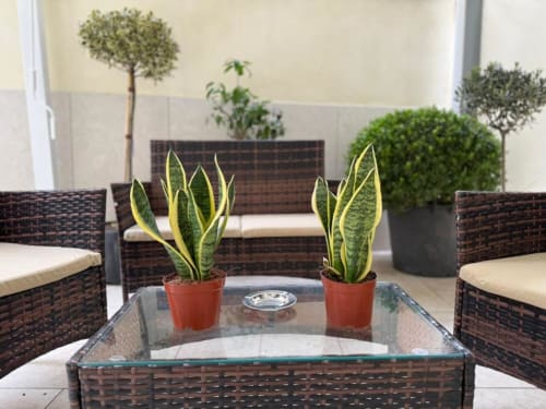 Zona lounge esterna moderna alla Residenza Seconnino di Napoli con mobili in vimini, piante serpente e rigogliosa vegetazione su pavimentazione