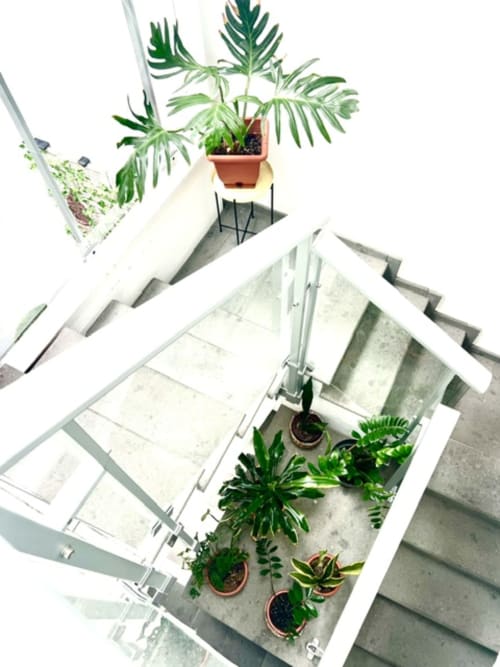 Vista aérea de escalera con plantas tropicales en maceta en Hotel The Cathedral Vegueta, Las Palmas