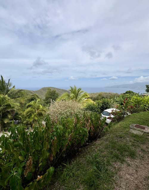 Vue du jardin de La Conciergerie Martinique avec vue sur la mer au-delà de la végétation tropicale et des palmiers