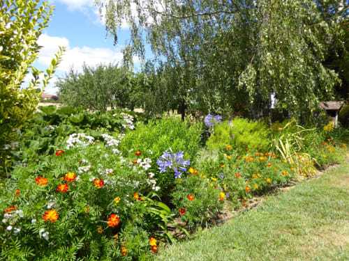 Colorful flower garden at Château de Ribourdin B&B in Chevannes with marigolds, daisies, and agapanthus