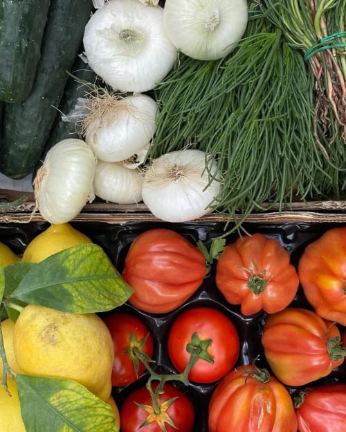 Fresh farm vegetables at Agriturismo Colle Mura: white onions, green onions, tomatoes, lemons, and cucumbers