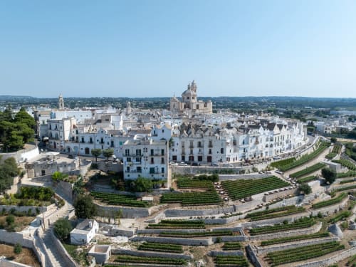 Vista aerea dei bianchi edifici di Ostuni e della cupola della chiesa con i vigneti terrazzati circostanti in Puglia, Italia