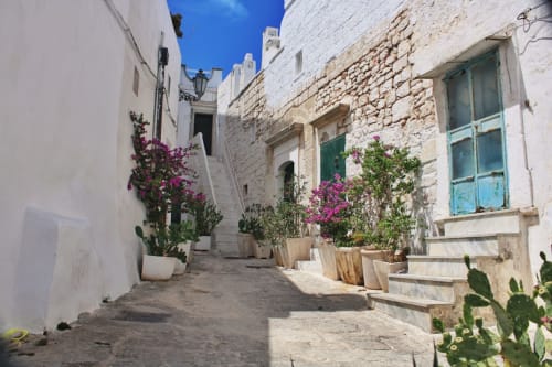 Affascinante vicolo imbiancato a Pietra & Luce a Ostuni con fiori magenta rigogliosi e persiane turchesi