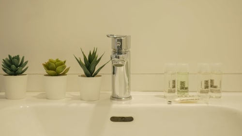 Tocador del baño en el apartamento BCNMADflats Barcelona con dispensador de jabón, suculentas y artículos de tocador