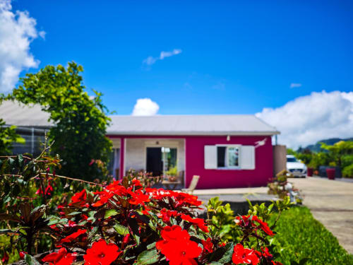 Chalet magenta aux fleurs rouges du gîte La Kaz 57 à La Plaine des Palmistes, Réunion, sous un ciel bleu avec les montagnes