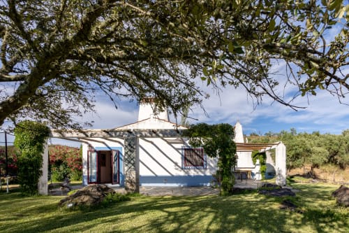 Villa Vale Clara em Alandroal com paredes caiadas, pérgola, jardim exuberante e oliveiras sob céu azul