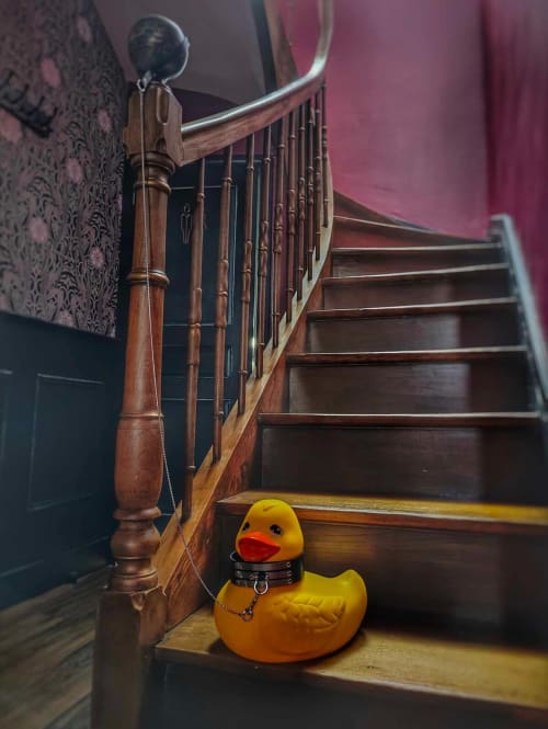 Canard jaune en caoutchouc à collier clouté sur l'escalier en bois de La Maison Defendue, Tessy-Bocage