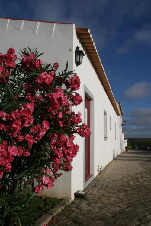 Bright pink bougainvillea flowers bloom beside whitewashed building at Monte da Morena rural guesthouse in Serpa, Portugal