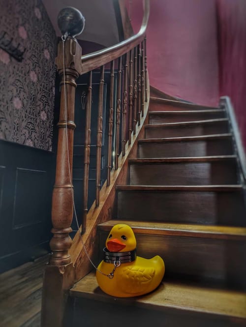 Yellow rubber duck wearing collar on wooden staircase at La Maison Defendue, Tessy-Bocage