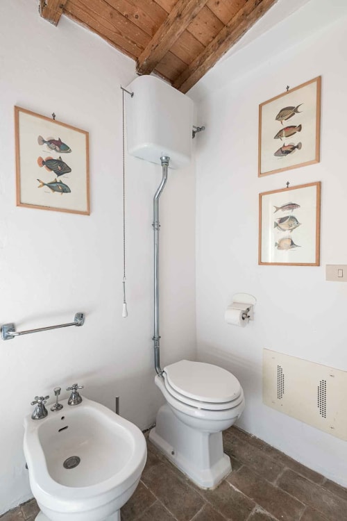 Bagno di Donkeys & Roses a Viterbo con quadri vintage di pesci, sanitari bianchi e soffitto in legno rustico