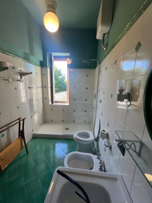 Bagno luminoso con pavimento in piastrelle verdi, pareti bianche, doppio lavabo, toilet, doccia walk-in e finestra a Donkeys &