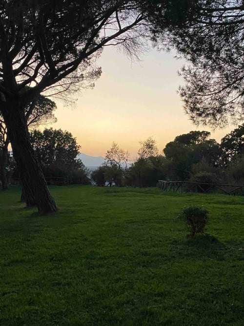Tramonto visto dalla fattoria Donkeys & Roses a Viterbo, con alberi che incorniciano il terreno verde e montagne in lontananza
