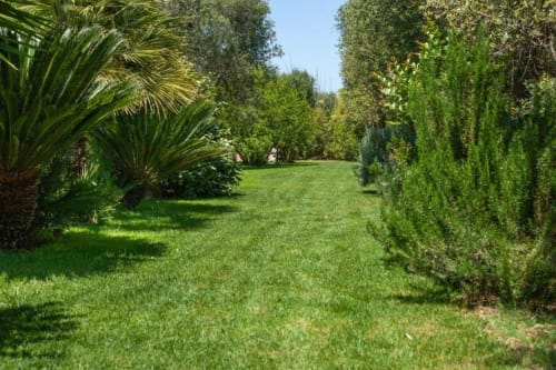 Sentiero del rigoglioso giardino di Trulli Boccadoro con prato curato, siepi alte e piante mediterranee sotto cielo sereno