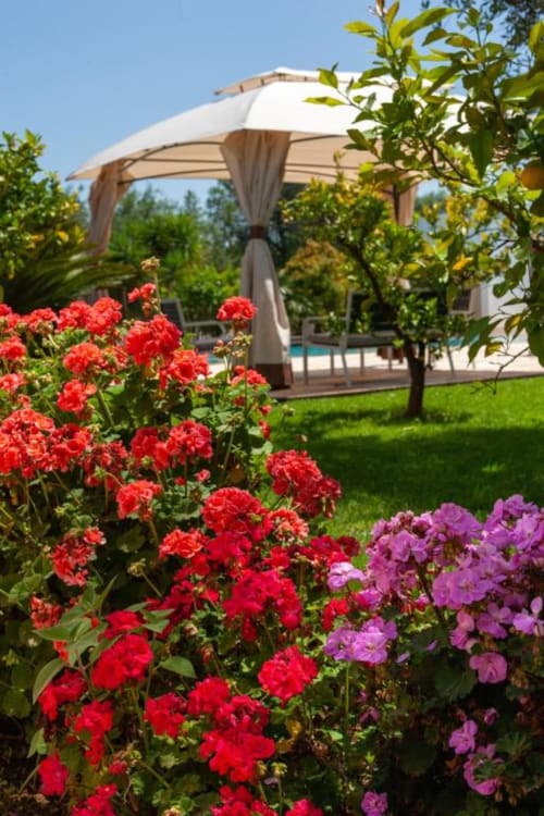 Fiori rossi e viola fioriscono nel giardino con pergolato bianco a Trulli Boccadoro in Italia