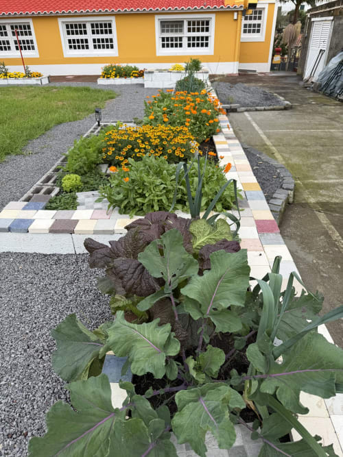 Golden Mermaid Villa garden with colorful flowers and vegetables in raised beds