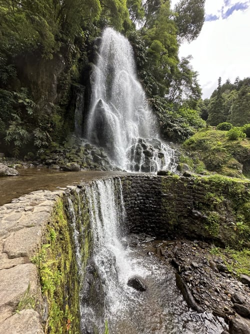 Cascading waterfall surrounded by lush green foliage and moss-covered rocks in a natural forest setting