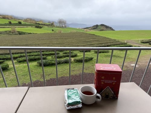 Tea and pastries at Golden Mermaid Villa with views of lush Portuguese farmland and mountains