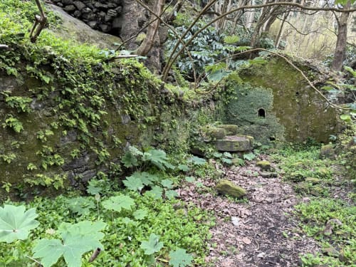Ruínas de pedra cobertas de musgo entre vegetação exuberante e árvores na Vila da Sereia Dourada, Portugal