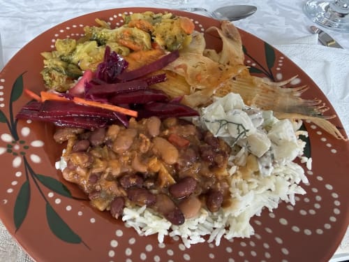 Golden Mermaid Villa plate with fish, beans, beets, rice, and vegetables on decorative red dish