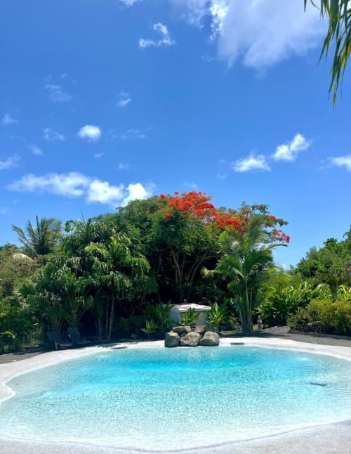 Piscine lagon turquoise aux Cottages du Lagon, Saint-François, Guadeloupe, entourée de palmiers tropicaux et de fleurs rouges
