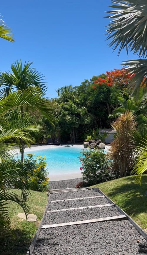 Piscine lagon tropical aux Cottages du Lagon, Saint-François, Guadeloupe avec palmiers et eau turquoise