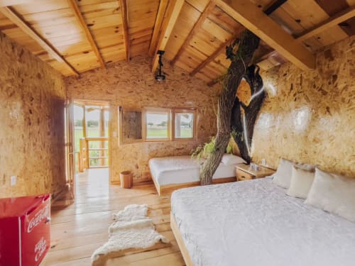 Amplia habitación de villa con vigas de madera, paredes de corcho, árbol vivo y dos camas en Hotel El Porvenir, Querétaro