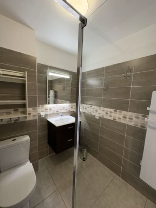 Bagno moderno nell'appartamento Conciergerie De Porticcio con doccia walk-in, piastrelle scure e mobile lavabo bianco