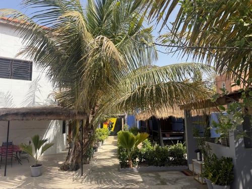 Cour tropicale de la guest-house Keur Medzo à Lac Rose avec palmiers, abri en paille et bâtisses blanchies