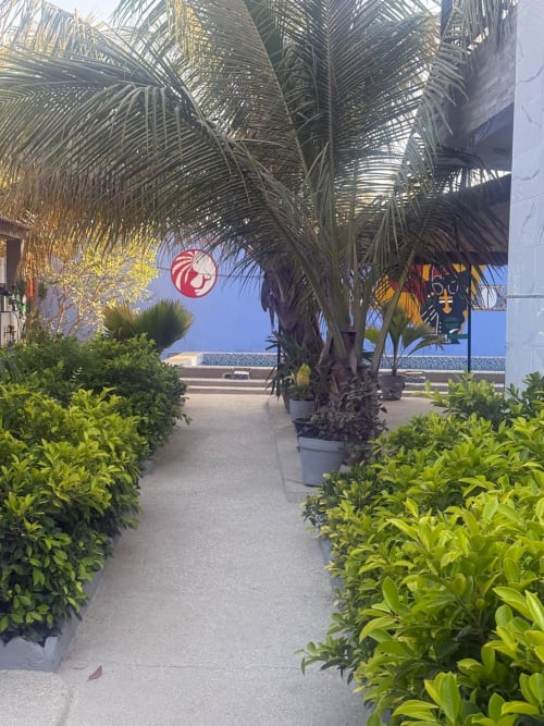 Allée ombragée de palmiers bordée de haies verdoyantes à l'hôtel Keur Medzo à Lac Rose, Niaga, Sénégal