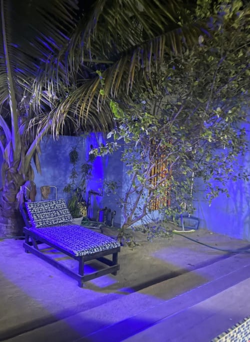 Espace lounge tropical à Keur Medzo avec palmiers, éclairage bleu et lit de jour confortable sous les étoiles au Lac Rose, Sénégal