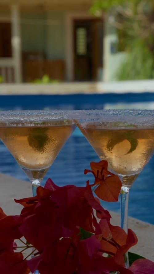Deux cocktails garnis de citron vert près de fleurs rouges surplombant la piscine et le cottage de FORTY PALMS, Lamentin