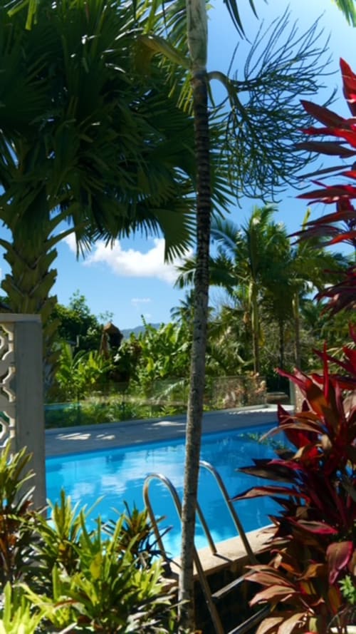Espace piscine tropical aux FORTY PALMS avec palmiers, fleurs rouges et chaises longues surplombant les jardins de Lamentin