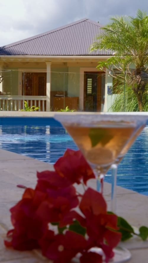 Vue tropicale au bord de la piscine du cottage FORTY PALMS avec fleurs rouges, cocktail et lodge moderne à Lamentin, Guadeloupe