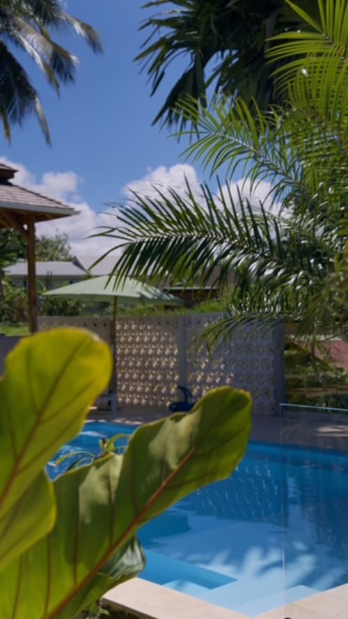 Vue tropicale de la piscine du cottage Forty Palms à Lamentin avec palmiers, eau bleue et terrasses ombragées