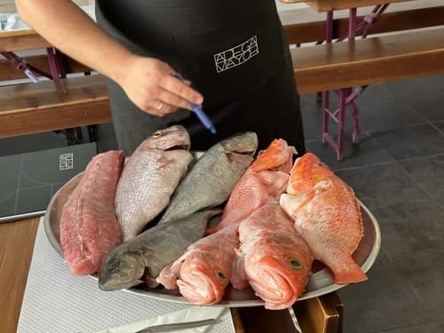Chef displays fresh fish selection at Golden Mermaid Villa, Portuguese beachside B&B